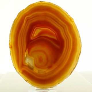 Amber/red Brazil Agate Slice Geode Polished Slab Quartz A29