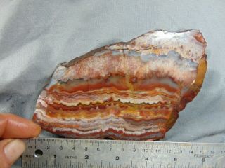 mexican crazy lace agate slab 2