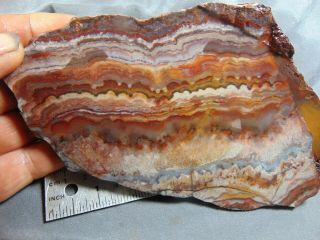 mexican crazy lace agate slab 4