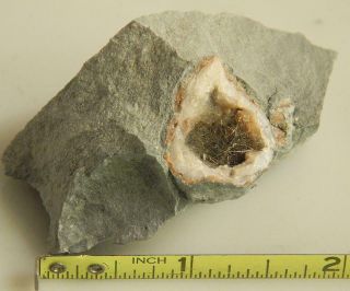 Millerite Crystals In Geode Kentucky Mineral Specimen