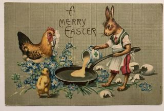 Dressed Bunny Rabbit In Apron Cooking Eggs Easter Fantasy Postcard - C104