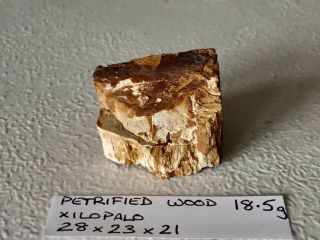 18.  5g Petrified Wood Chunk - Rough For Cabs - Fossils Specimens,  Display/ Xilopalo