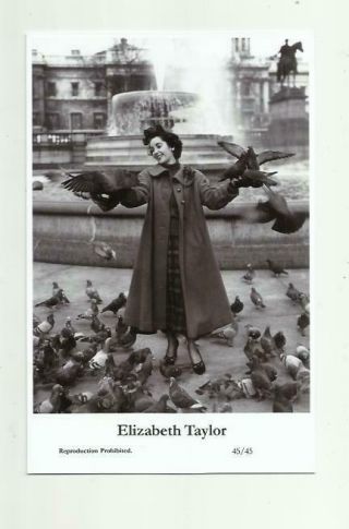 (n496) Elizabeth Taylor Swiftsure (45/45) Photo Postcard Film Star Pin Up
