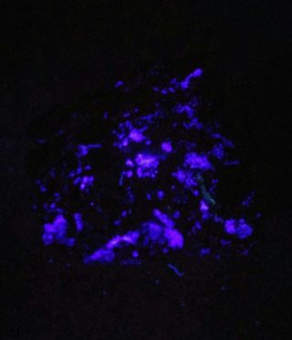 Wow - Red Cloud Wulfenite Crystals Fluorescent Purple Fluorite,  Mine Arizona