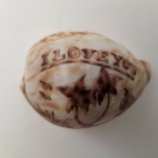 Vintage Carved Tiger Cowrie Shell Boat Palm Trees Sunrise I Love You