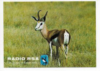 Qsl Radio Voice Of South Africa Rsa Johannesburg 1976 Verwoerd 4875 Kcs Dx Swl