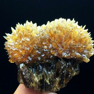 56gnew Find Rare Amber Calcite Phosphorescent Mineral Specimen