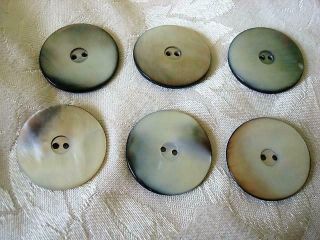 6 Vintage Gray Mother Of Pearl Shell Sew Through Coat Buttons 1 3/8 In.