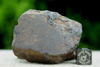 Al Haggounia 001 El3 Fossil Meteorite 92.  6 Grams Enstatite Low Metal Chondrite