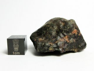 Nwa X Meteorite 30.  64g Remarkable Rock From Space