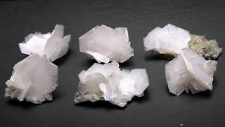 170g Natural White Fish Scaly Fluorescence Calcite Mineral Specimen /china76