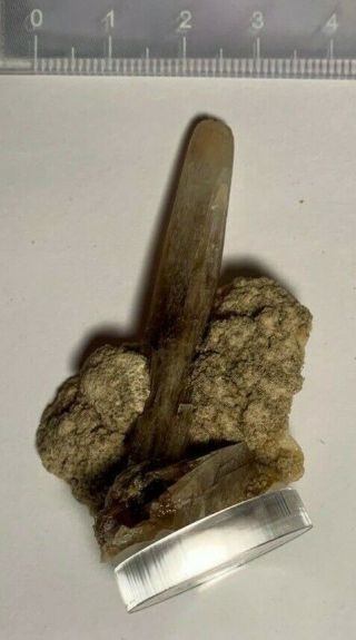 Very good specimen of Barite on Calcite from Garfield County Montana 3