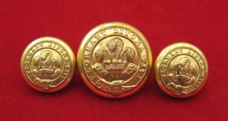 The Tivyside Hunt (cardigan,  Wales) Large And Small Gilt Buttons