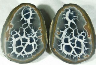 A Neat Pattern On This Natural Polished Septarian Nodule 149gr E