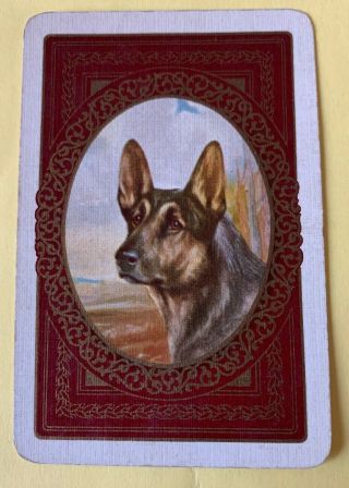 Playing Swap Cards = 1 Single Vintage English Alsatian In Frame