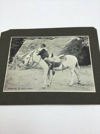 Vintage Black Americana African American Photo Child On Horse Pikes Peak Caption