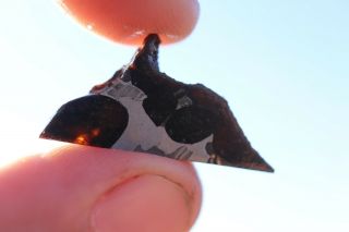 Sericho Meteorite Pallasite From Kenya Full Slice 1.  4 Grams