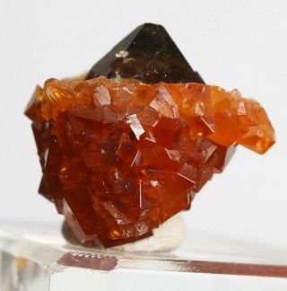 2.  8g Natural Smoky Quartz Crystal Garnet Spessartine Mineral Specimen