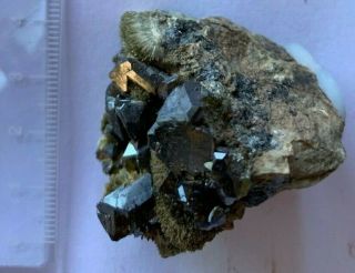 Good representation of Sphalerite on Johannsenite from Arizona 3