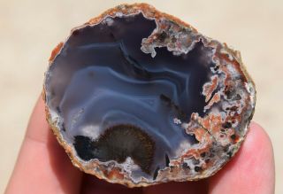 Agate Polished Sagenite Banding Blue Laguna Coyamito Mexico Fighting Blood Rare