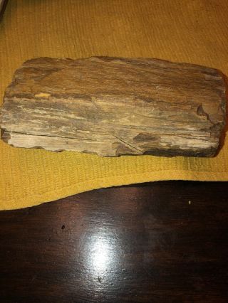 Petrified Wood Texas 6”5/8” 3”7/8” 1”1/4”