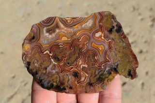 Crazy Lace Agate Slab Slice Rough Moss Banded Cab Cabbing Banded Pink Orange Red