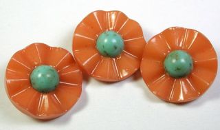 Vintage Celluloid Button Set Of 3 Colorful Flowers Design - 11/16 "