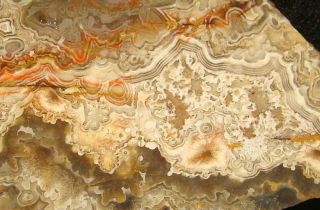 Wild Crazy Lace Agate Thick Slab … Old Time Stock … Mexico