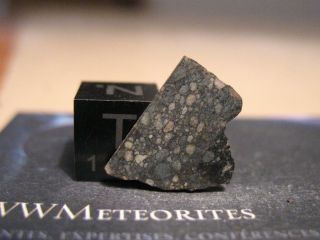 Meteorite Nwa 7936 - Primitive Chondrite : L3.  15 With A Carbonaceous Inclusion