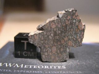 Meteorite Nwa 5772,  Carbonaceous Chondrite (cv3 - Oxb,  Bali Subgroup)