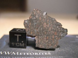 Meteorite NWA 5772,  Carbonaceous chondrite (CV3 - Oxb,  Bali subgroup) 2
