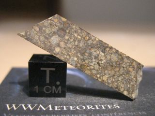 Meteorite Nwa 11812 - Ll3 Chondrite,  Closely Packed Well - Defined Chondrules