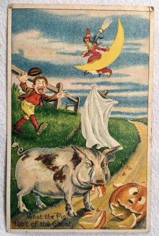 Scarce 1912 Halloween Pig Ghost Postcard Witch Jack O Lantern