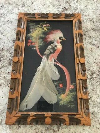 Vintage Mexican Folk Art Feathercraft Multi Colored Bird Picture Framed 1