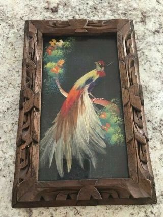 Vintage Mexican Folk Art Feathercraft Multi Colored Bird Picture Framed 2