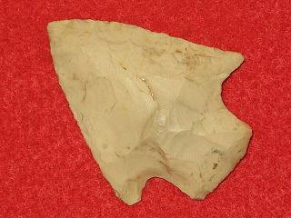 Authentic Native American artifact arrowhead Florida Elora point D16 2