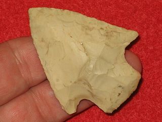 Authentic Native American artifact arrowhead Florida Elora point D16 5