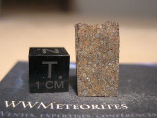 Meteorite Nwa 2378,  Interesting Primitive Chondrite Classification : H3.  5