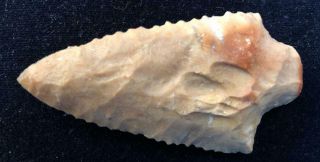 Elora Arrowhead Authenticated And Graded As A " 8.  5 " By Jeff Baker