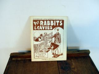Pet Rabbits & Cavies Ditchfield’s Little Wonder Book No.  22