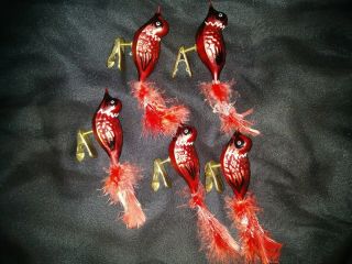 5 Vintage Red Cardinal Bird Clip - On Glass Christmas Ornament - 4.  5 " L X 3 " T