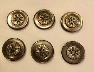 Six Vintage 1 1/8” Carved Abalone Buttons.  Really
