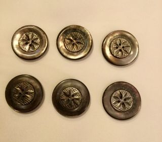 Six Vintage 1 1/8” Carved Abalone Buttons.  Really 2