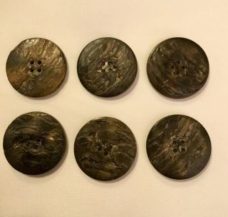 Six Vintage 1 1/8” Carved Abalone Buttons.  Really 3