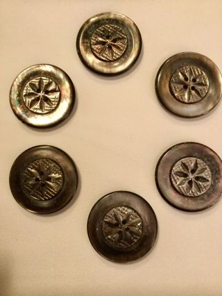 Six Vintage 1 1/8” Carved Abalone Buttons.  Really 5