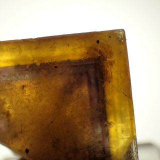 Fluorite Golden - Yellow Zoned Crystal Frohnau,  Germany
