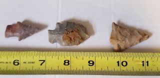 3 100 Authentic Archaic Indian Arrowheads From The Wolf Fam.  Coll.  Set: 16