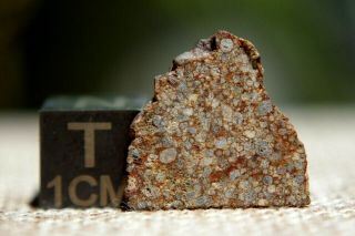 Nwa 8366 (a) Ll3 Primitive Chondrite Meteorite 1.  1 Gram Part Slice
