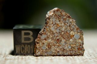 NWA 8366 (a) LL3 Primitive Chondrite Meteorite 1.  1 gram part slice 2