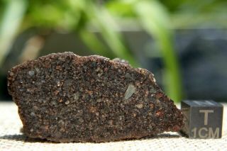 Nwa 10499 Ll3 Primitive Chondrite Meteorite 6.  4g From Billions Of Years Ago